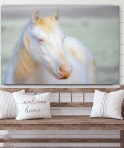 White Horse 2 Canvas Wall Art